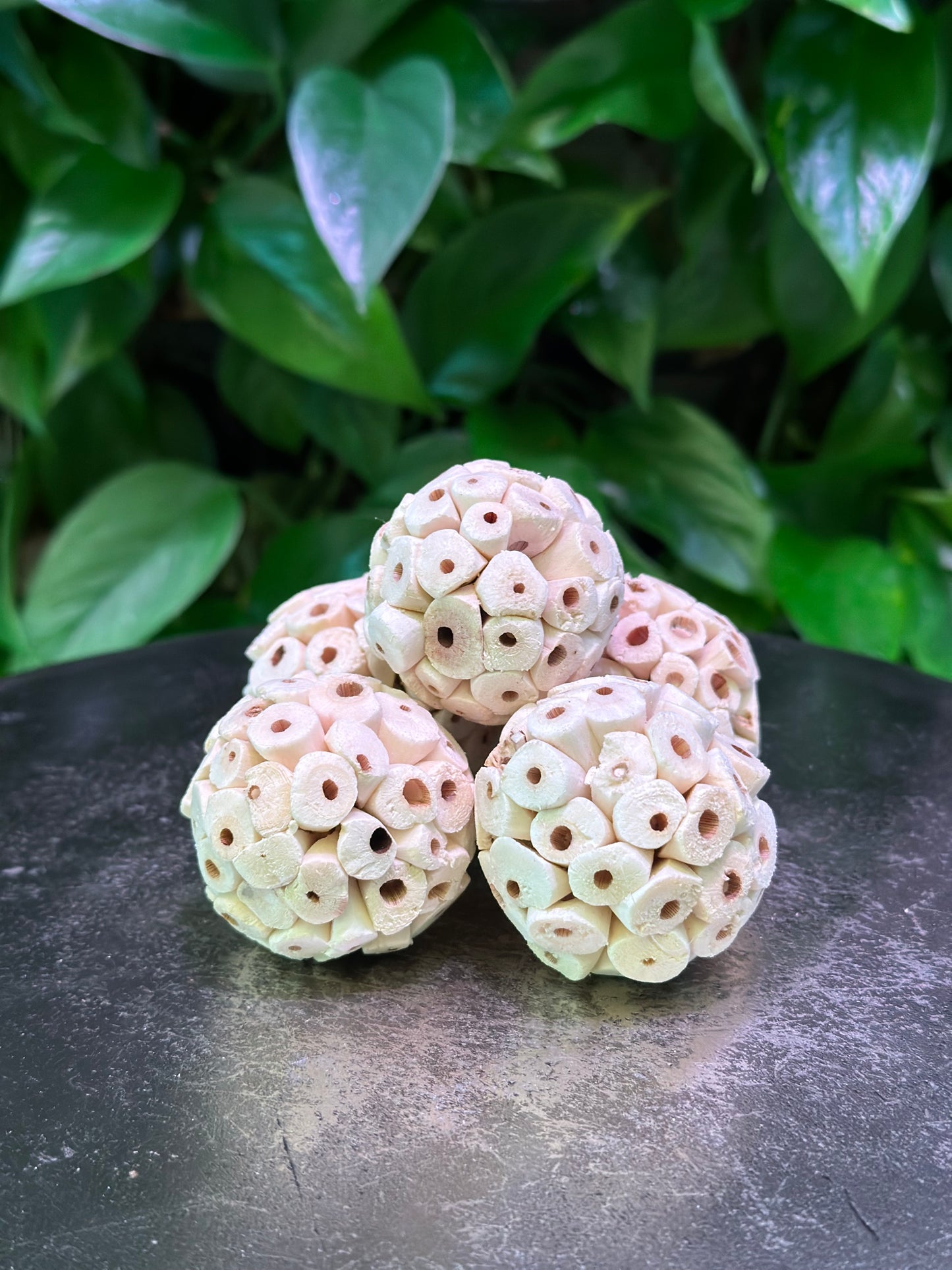 Bulk Petite Sola Atta Ball 1.5”