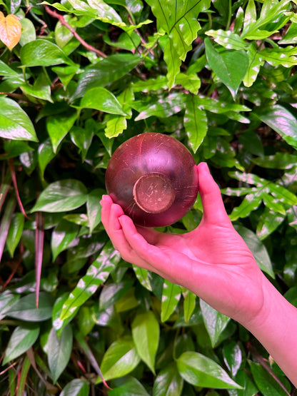 Bulk Petite Coconut Cup with Base