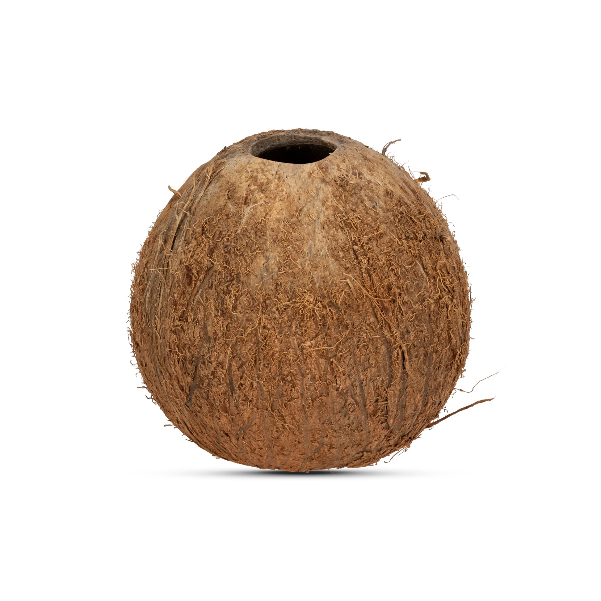  Coconut Shells