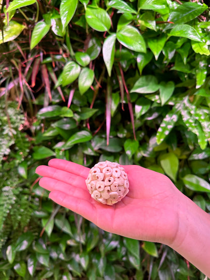 Petite Sola Atta Ball 1.5”