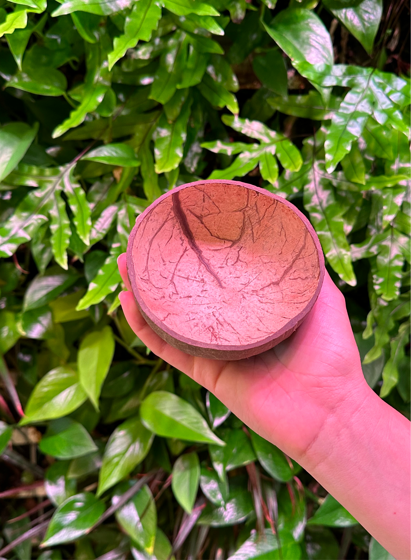 Bulk Coconut Bowl, Small