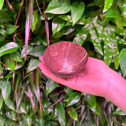 Bulk Petite Coconut Cup with Base